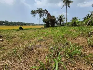 Paddy Field Facing Bare Land for Sale Malabe