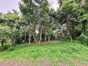 Land for Sale in Kirindiwela