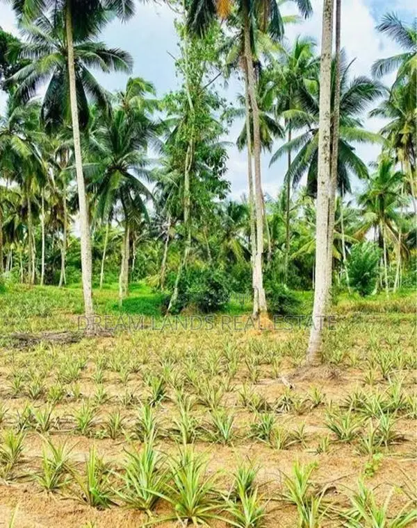 COMMERCIAL LAND FOR SALE IN WALIWERIYA (SP1080)