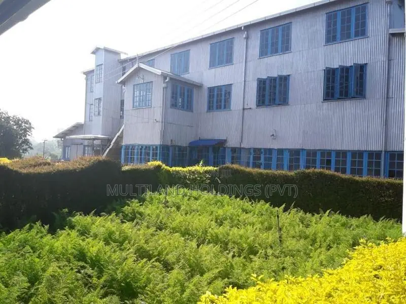 Walala - Menikhinna road facing Building and Land for sale