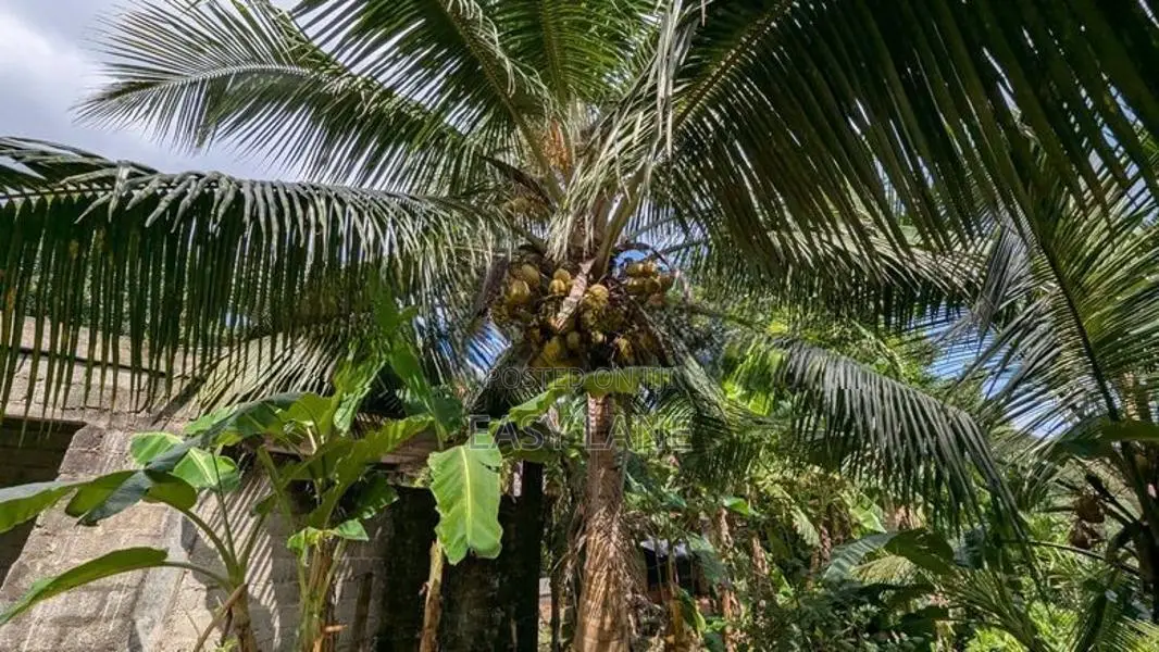 බස් මාර්ගයට මායිම් ව්‍යාපාරික ඉඩම හා පර්චස් 4 කුඹුරැ