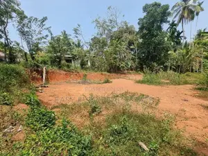Land for Sale in Minuwangoda