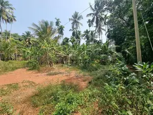 Land for Sale in Minuwangoda