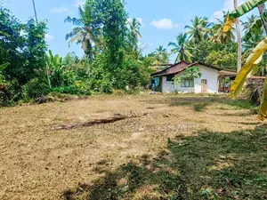වෙල් යායකට මායිම්ව ඉඩමක් - යක්කල