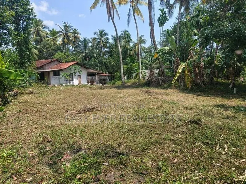 වෙල් යායකට මායිම්ව ඉඩමක් - යක්කල