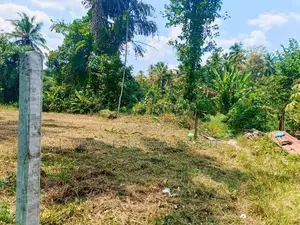 වෙල් යායකට මායිම්ව ඉඩමක් - යක්කල