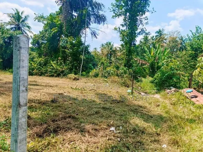 වෙල් යායකට මායිම්ව ඉඩමක් - යක්කල