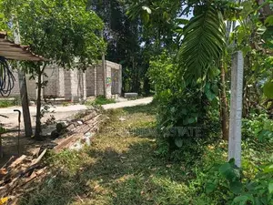 වෙල් යායකට මායිම්ව ඉඩමක් - යක්කල