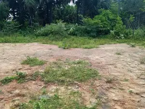 HHL1130 - Land for Sale in Pillaiyaradi
