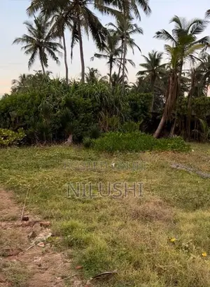 Beach Front Bare Land for Sale | LS0021