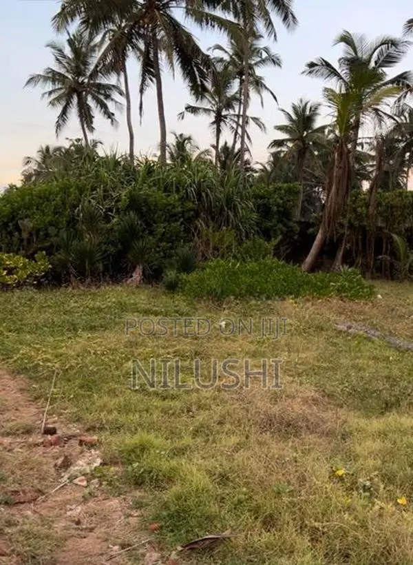 Beach Front Bare Land for Sale | LS0021