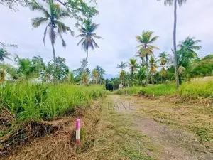 නුවර පාරට ළගින්ම ඉඩමක්