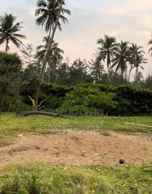 Beach Front Bare Land for Sale | LS0021