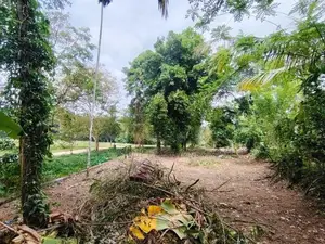 ( SDS-342) Valuable Residential Bare Land Sale in Kottawa