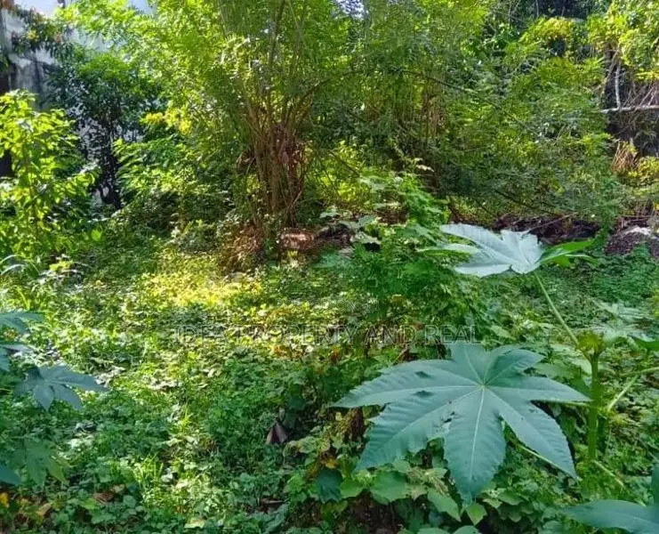 ( SDS-356) Valuable Residential Bare Land Sale in Kesbewa