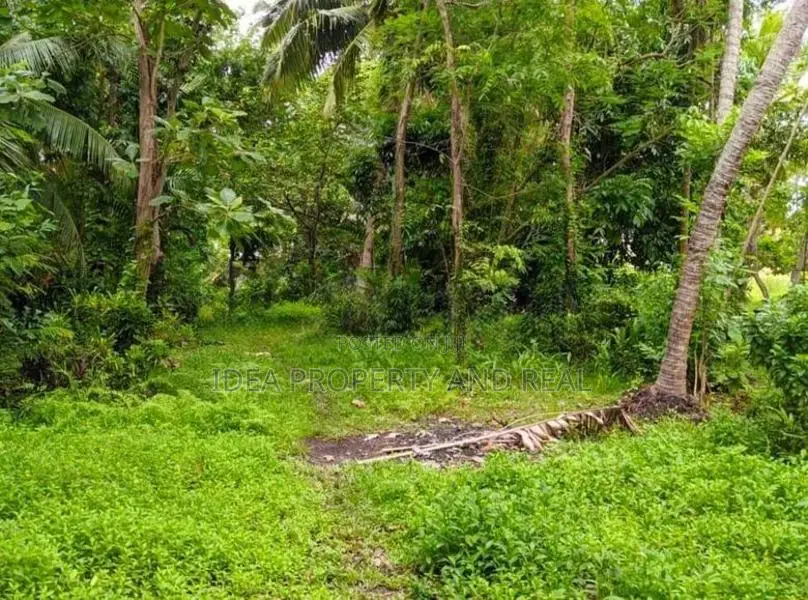 ( SDC-349)Valuable Commercial Bare Land Sale in Moratuwa