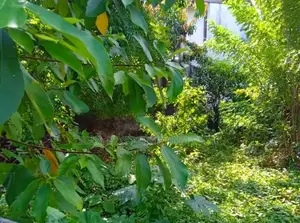 ( SDS-356) Valuable Residential Bare Land Sale in Kesbewa