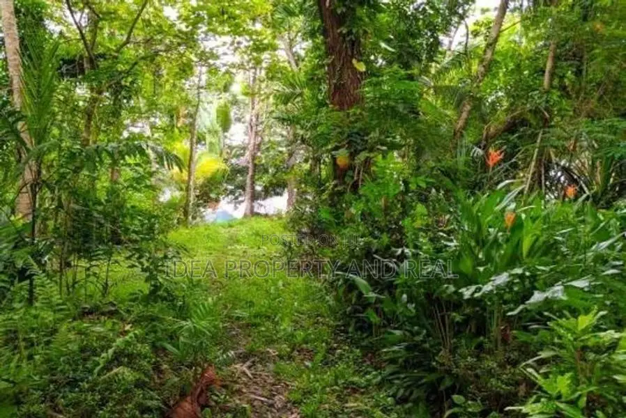 ( SDC-349)Valuable Commercial Bare Land Sale in Moratuwa