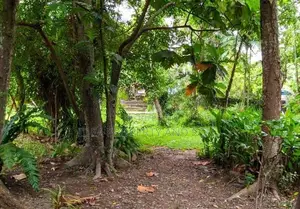 ( SDC-349)Valuable Commercial Bare Land Sale in Moratuwa