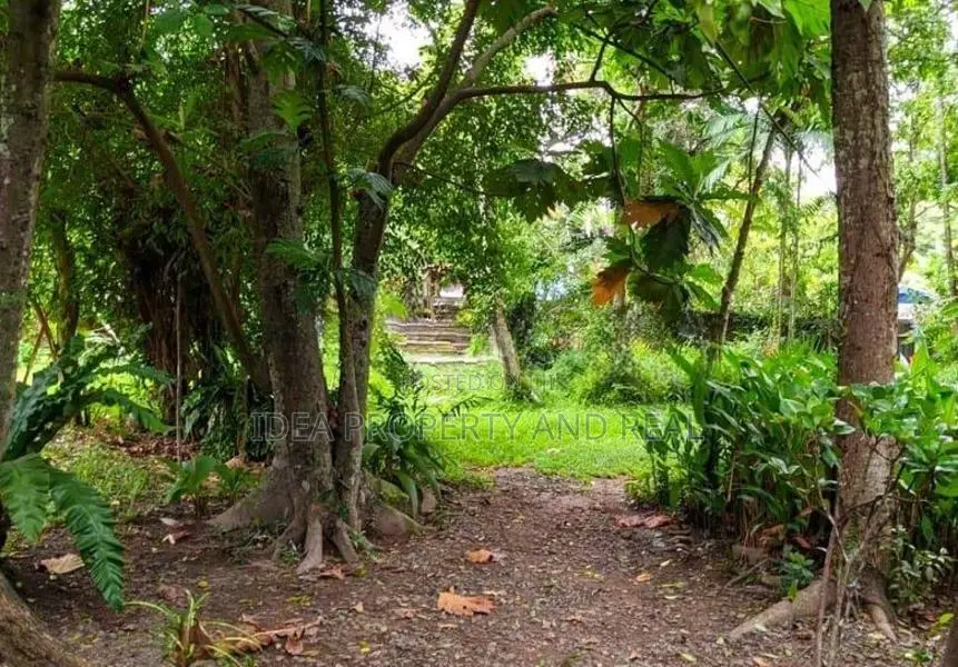 ( SDC-349)Valuable Commercial Bare Land Sale in Moratuwa