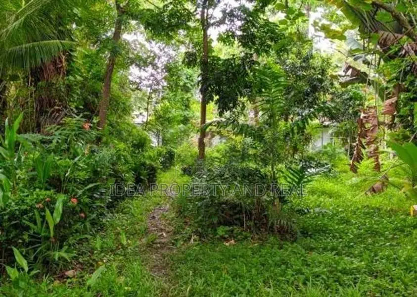 ( SDC-349)Valuable Commercial Bare Land Sale in Moratuwa