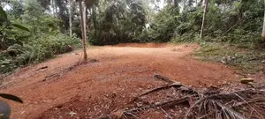 Land for sale in Hunnadeniya Dikwella Matara