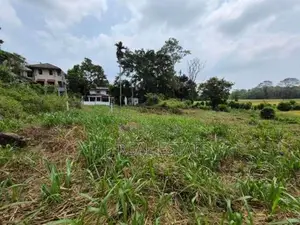 53.5 P Paddy Fields Facing Bare Land for Sale Udawatta