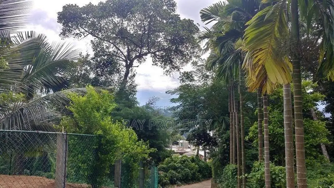 Matale City Limit Land for Sale