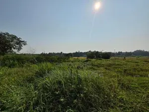 15 P Paddy Feild Facing Bare Land Sale in Malabe