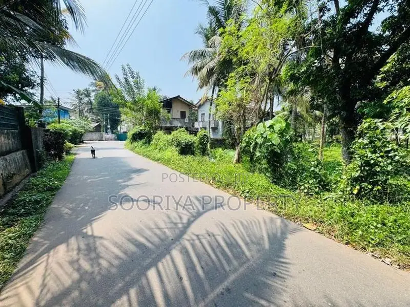 Residential Land for Sale in Piliyandala Dampe