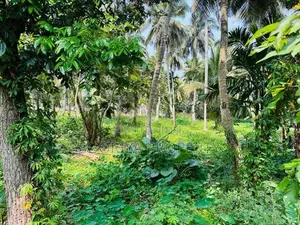 Residential Land for Sale in Piliyandala Dampe