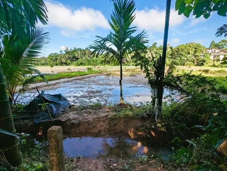 Land for sale in Haggalla