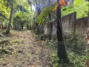 Land for sale in Haggalla