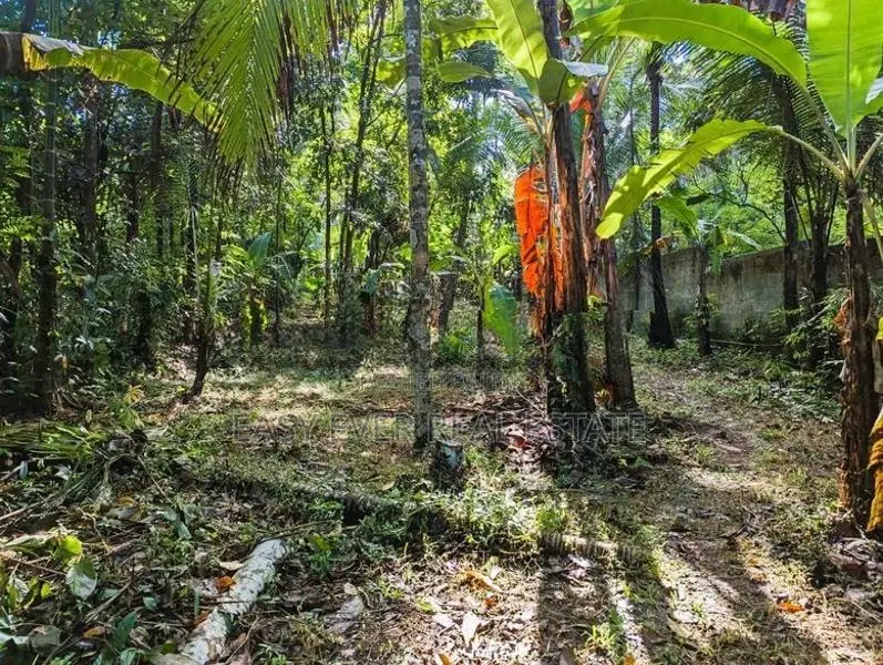 Land for sale in Haggalla