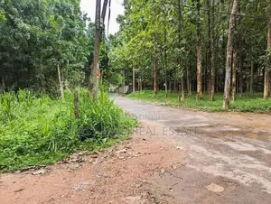 Land for sale in Nittambuwa