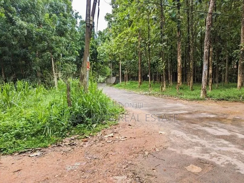 Land for sale in Nittambuwa