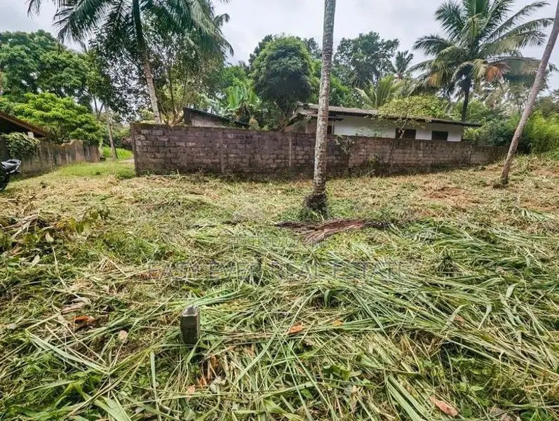 Land for sale in Nittambuwa