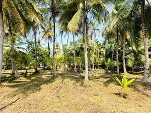 (AFA973) 58 P LAND AT 200 M Galle Road Wadduwa Kaluthara