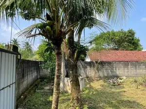 Land for sale in pasyala