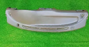 Toyota Hilux LN107 Dash Board Pannel