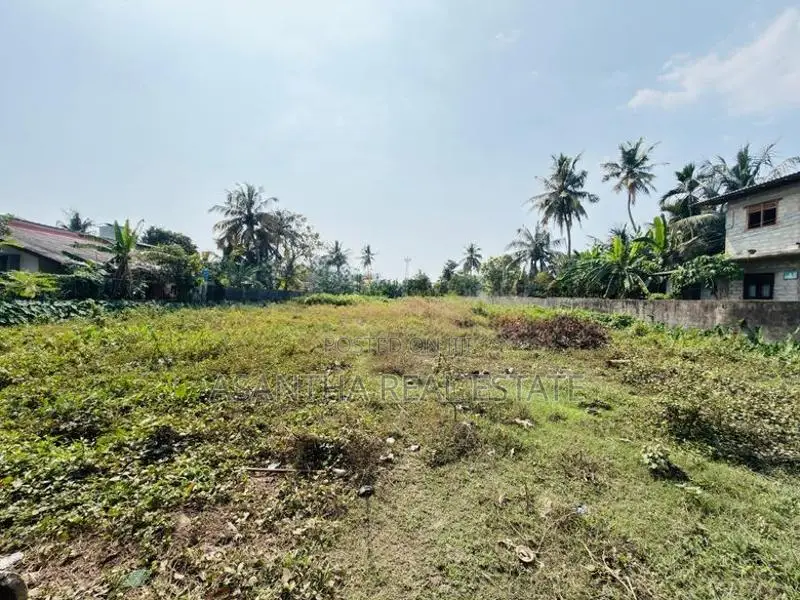 (AFA948) 131 P LAND AT Panadura