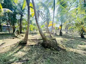 (AFA973) 58 P LAND AT 200 M Galle Road Wadduwa Kaluthara