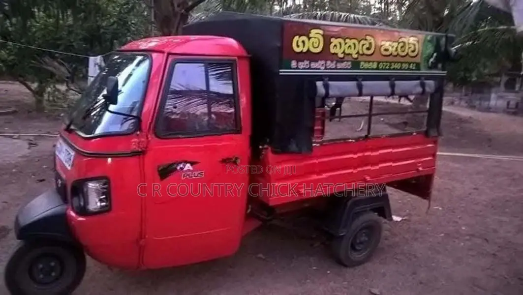 ஊர் கோழி