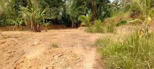 piliyandala Land For Rent in madapata