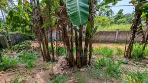 Land for sale in kadawatha