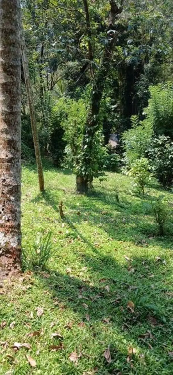 Kandy : 19.2 perches Land for Sale at Anniwatte