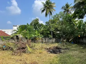 Land for sale in pasyala