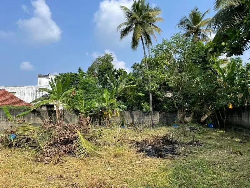 Land for sale in pasyala