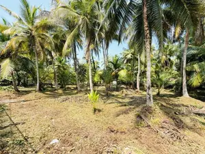 (AFA973) 58 P LAND AT 200 M Galle Road Wadduwa Kaluthara