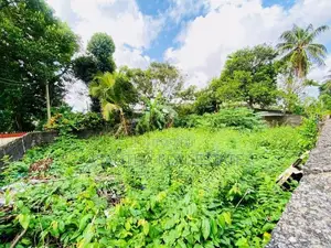 (AFA981) 10 P Land Sale At Colomba Thanthree Mawatha Ethulkotte